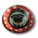 Paperweight Pug